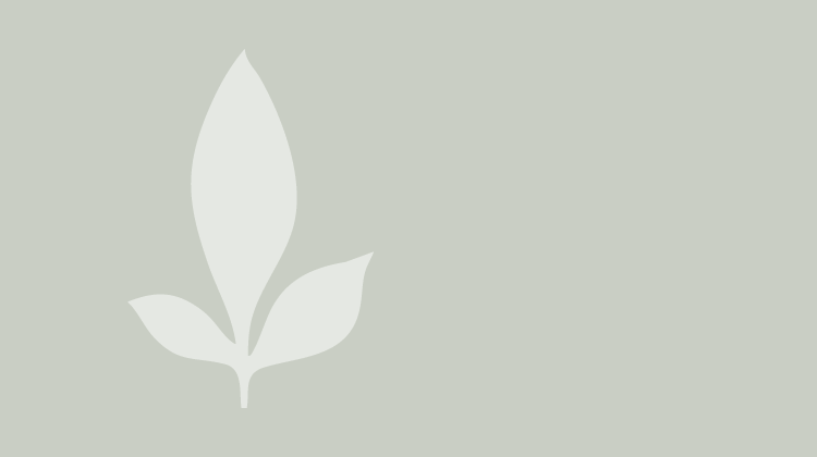 News Bürgerstiftung