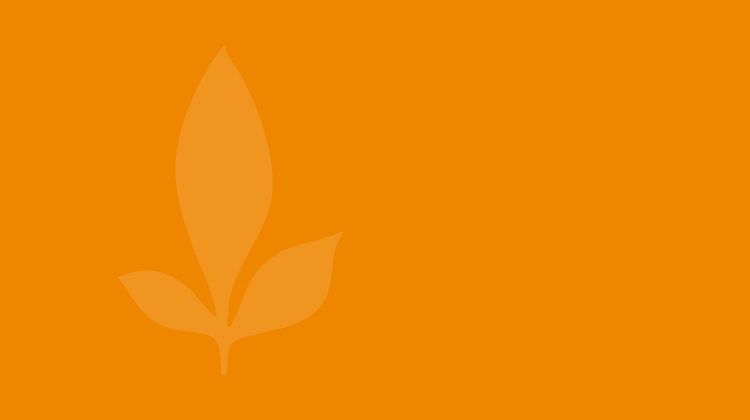 News Bürgerstiftung